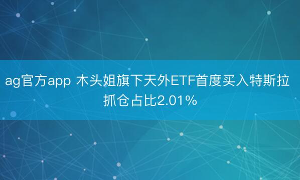 ag官方app 木头姐旗下天外ETF首度买入特斯拉 抓仓占比2.01%