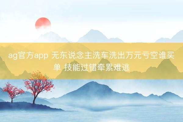 ag官方app 无东说念主洗车洗出万元亏空谁买单 技能过错牵累难逃