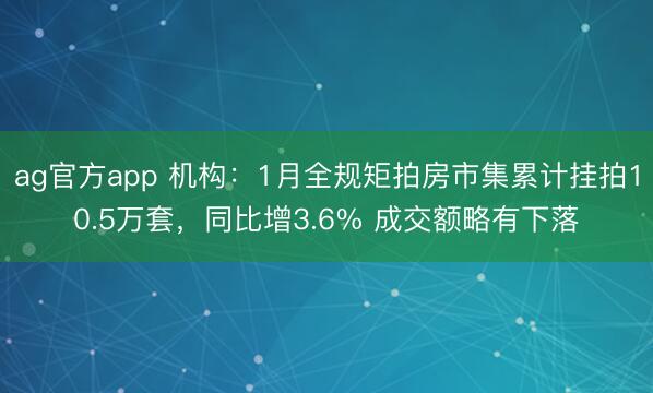 ag官方app 机构：1月全规矩拍房市集累计挂拍10.5万套，同比增3.6% 成交额略有下落