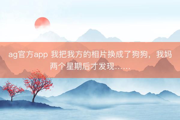 ag官方app 我把我方的相片换成了狗狗,我妈两个星期后才发现……