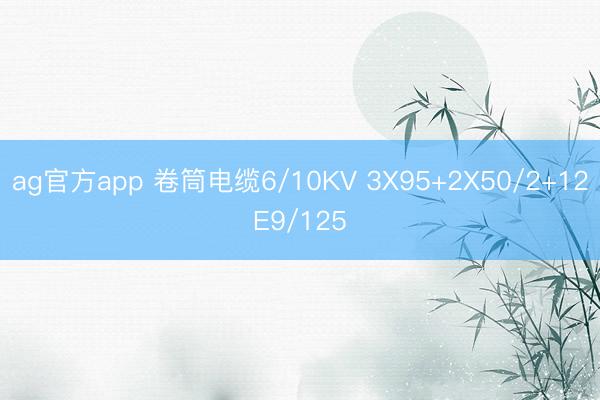 ag官方app 卷筒电缆6/10KV 3X95+2X50/2+12E9/125