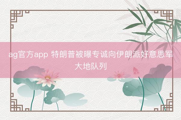 ag官方app 特朗普被曝专诚向伊朗派好意思军大地队列
